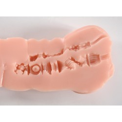 Torso Vagina y Ano 8.50Kg Chloe