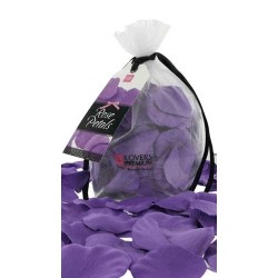 Rose petals purple