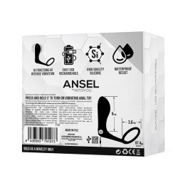 Vibrador Anal con Anillo TardeNoche Ansel Silicona con bala extraíble USB