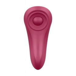 Satisfyer Panti Sexy Secret Control vía APP