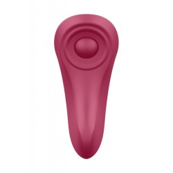 Satisfyer Panti Sexy Secret Control vía APP