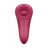 Satisfyer Panti Sexy Secret Control vía APP