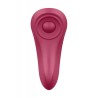 Satisfyer Panti Sexy Secret Control vía APP