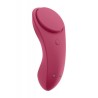 Satisfyer Panti Sexy Secret Control vía APP