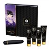 Shunga Kit Secretos de Geisha Coquine Naughty