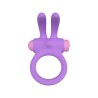 Anillo Vibrador con mando Riny Lila Recargable Silicona