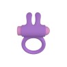 Anillo Vibrador con mando Riny Lila Recargable Silicona