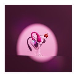 Lovense Lush 4 Mini APP Huevo Vibrador