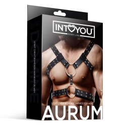 Arnés Fetish Intoyou hombre Aurum Cuero Vegano BDSM