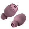 Gigiwabi Rosa Succionador con lengua Silicona Recargable