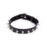 Collar Chocker Negro con pinchos