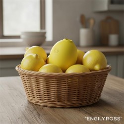 Succionador Limon Recargable Silicona 10 intensidades