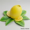 Succionador Lemon Recargable Silicona 10 intensidades