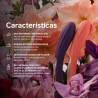 LELO Boomerang Coral APP