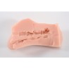 Torso Vagina y Ano 5.20Kg Isabel