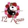 12 Rosas