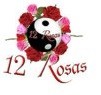 12 Rosas